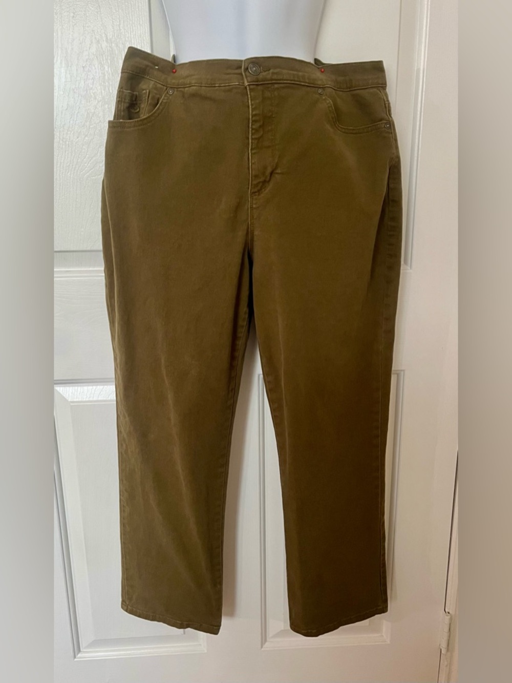 Gloria Vanderbilt Olive Brown Men's Chinos